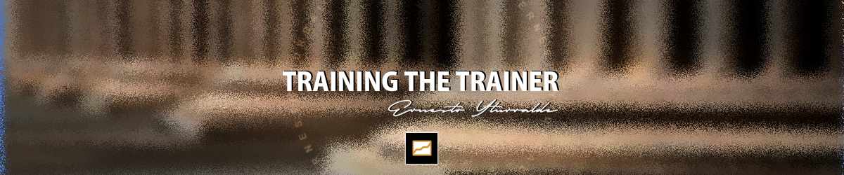 TTT | Training The Trainer / Formacin de Formadores, talleres de Andragogia para desarrollar habilidades y competencias a Facilitadores, Consultores y Docentes | Ernesto Yturralde Worldwide Inc. Training & Consulting
